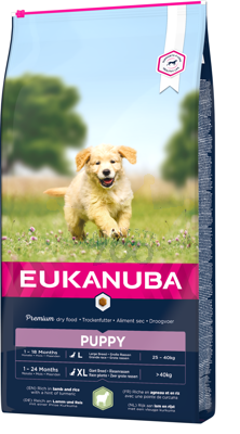 EUKANUBA Puppy&Junior Lamb&Rice Large Breed 12kg + STAIGMENA ŠUNUI