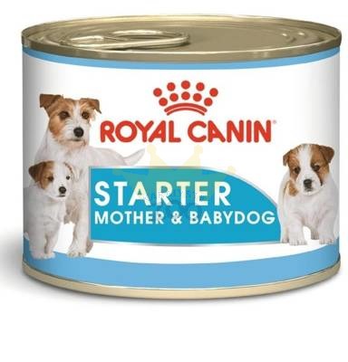 ROYAL CANIN Starter Mousse Mother&Babydog 6x195g dežutės