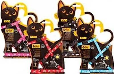 DINGO Komplektas "KICIO" diržas ir pavadėlis mažoms katėms