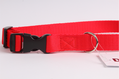 DogStuffs Apykaklė su plastikine sagtimi 20mm/30-55cm raudona