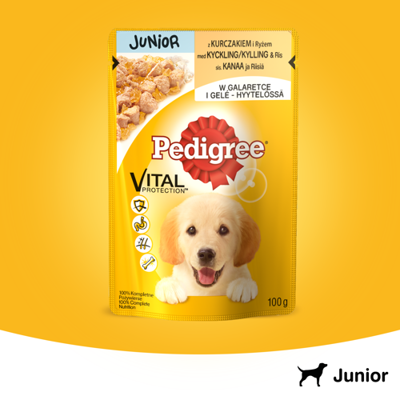 PEDIGREE Junior paketėlis 100g - drėgnas šunų maistas su vištiena ir ryžiais drebučiuose