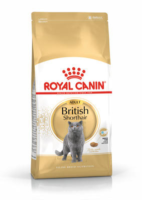 ROYAL CANIN British Shorthair 2kg sauso ėdalo suaugusioms britų trumpaplaukėms katėms
