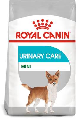 ROYAL CANIN CCN Mini Urinary Care 1kg sausas ėdalas suaugusiems mažų veislių šunims, apatinių šlapimo takų apsaugai