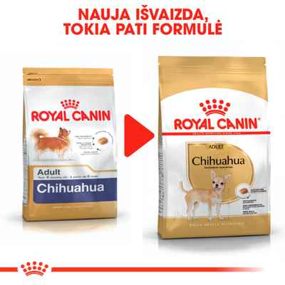 ROYAL CANIN Chihuahua Adult 500g sausas ėdalas suaugusiems čihuahua veislės šunims