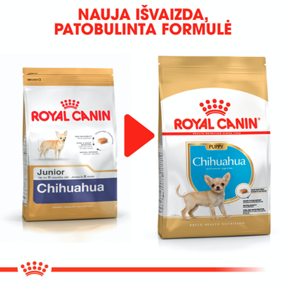 ROYAL CANIN Chihuahua Puppy 1,5 kg sauso ėdalo šuniukams iki 10 mėnesių, čihuahua veislės