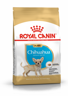 ROYAL CANIN Chihuahua Puppy 500 g sauso ėdalo šuniukams iki 10 mėnesių, čihuahua veislė