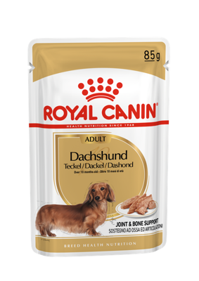 ROYAL CANIN Dachshund 12x85g drėgnas maistas - paštetas, skirtas suaugusiems taksų veislės šunims 