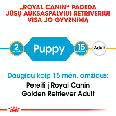 ROYAL CANIN Golden Retriever Puppy 3 kg sauso ėdalo šuniukams iki 15 mėnesių, auksaspalvių retriverių veislė