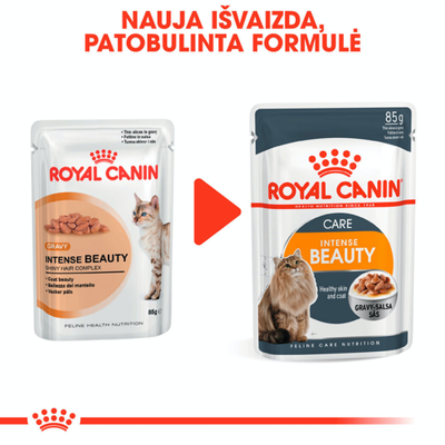 ROYAL CANIN Intense Beauty 12x85g drėgno maisto padaže suaugusioms katėms, sveika oda, gražus kailis