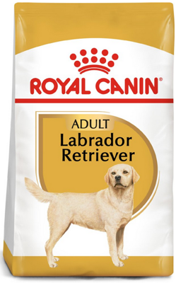 ROYAL CANIN Labrador Retriever Adult 12kg sausas ėdalas suaugusiems labradoro retriverių veislės šunims