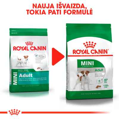 ROYAL CANIN Mini Adult 8kg sausas ėdalas suaugusiems mažų veislių šunims