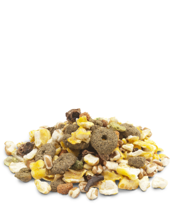 VERSELE LAGA Snack Popcorn 650g - papildomas maistas graužikams